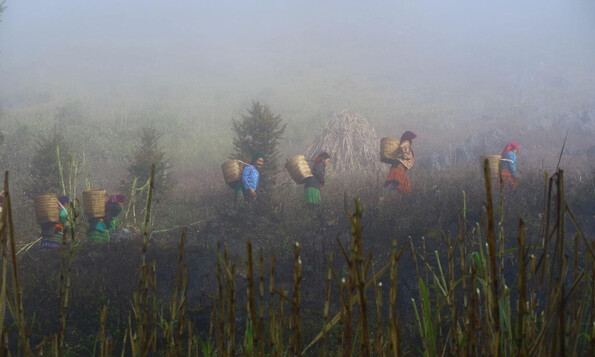 Sao Ha village in Ha Giang