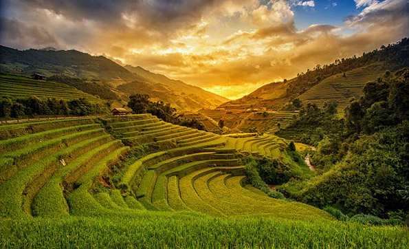 Sapa misty land Sapa misty land