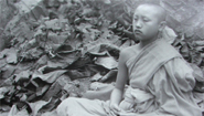 A monk in meditation A monk in meditation