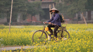 Cycling amid flowers Cycling amid flowers