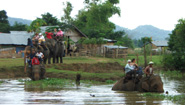 Riding elephant on Lak Lake Riding elephant on Lak Lake