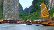Halong Bay Vietnam Halong Bay Vietnam