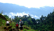 Fresh wild nature of Pu Luong Fresh wild nature of Pu Luong