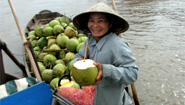 Selling fruits at a floating market of the Mekong River Selling fruits at a floating market of the Mekong River