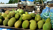 Mekong River floating market Mekong River floating market