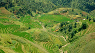 Sapa Valley Sapa Valley
