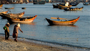 Phan Thiet Mui Ne Fishing Harbor Phan Thiet Mui Ne Fishing Harbor