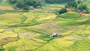Sapa Terraces Sapa Terraces