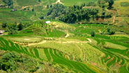 Sa Pa Valley Sa Pa Valley