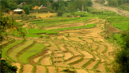 Tu Le, Yen Bai, Vietnam Tu Le, Yen Bai, Vietnam