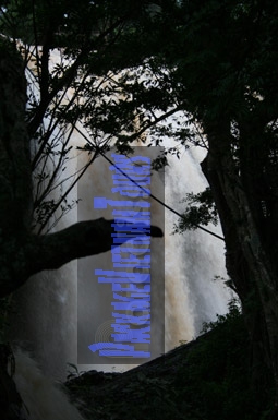 The Elephant Waterfall Dalat Vietnam The Elephant Waterfall Dalat Vietnam