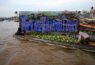 Marché flottant de Cai Rang Marché flottant de Cai Rang