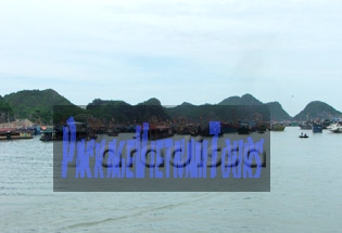 l'embarcadère de l'île de Cat Ba l'embarcadère de l'île de Cat Ba
