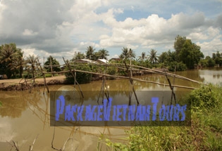 Un pont de singe de Kien Giang au Vietnam Un pont de singe de Kien Giang au Vietnam