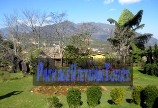 Fresh nature of Ham Rong Mountain Fresh nature of Ham Rong Mountain