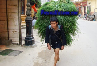 Sapa Black H'Mong Sapa Black H'Mong