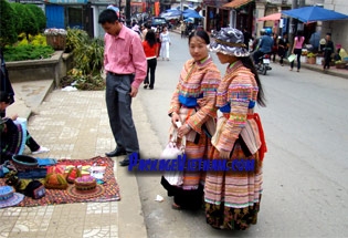 Flower H'mong Sapa Flower H'mong Sapa