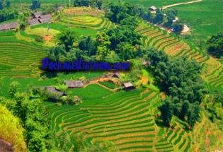 Rizières en terrasses Sapa Vietnam Rizières en terrasses Sapa Vietnam