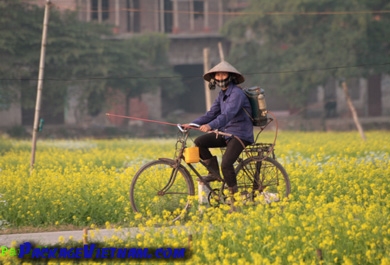 Vietnam à vélo Vietnam à vélo