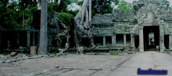 Jungle-clad Temple Jungle-clad Temple