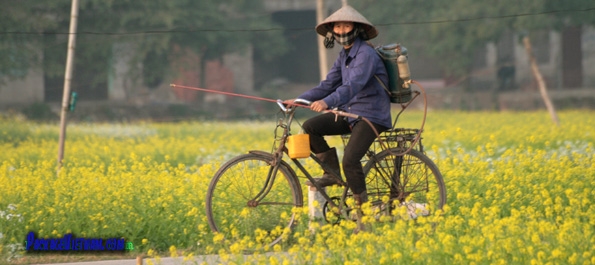 Cycling amid flowers Cycling amid flowers