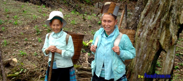 Hill Tribe at Pu Luong Hill Tribe at Pu Luong