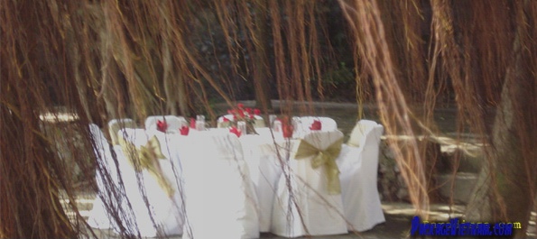 Dining in the wild Dining in the wild