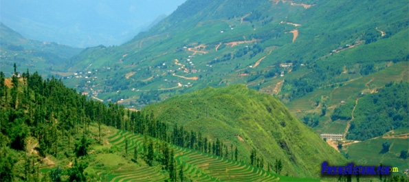 Sapa Vietnam Sapa Vietnam