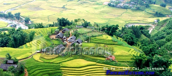 Sapa Vietnam Sapa Vietnam