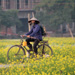 Cycling in the Red River Delta